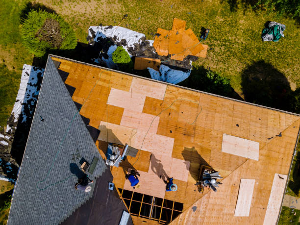 Best Flat Roof Repair Services  in Fris, CO